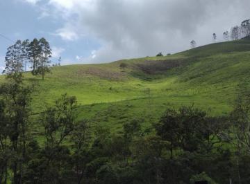 Rural · 100m² · 1 Quarto · Chácara 4,9 Hectares com Mata Nativa em São Luiz do Paraitinga/SP