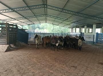 Rural · 300m² · 3 Quartos · 10 Vagas · Fazenda Rica em Água - Excelente para Gado de Corte em Paraibuna, SP - SEU FUTURO EMPREENDIMENTO RUR