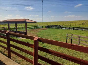 Rural · 100m² · 1 Quarto · Sítio 29 Hectares com Terreno Plano e Abundância de Água em Guaratinguetá/SP
