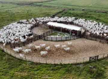 Rural · 4460000m² · 1 Quarto · 10 Vagas · Fazenda de 440 hectares Totalmente Plana em São José dos Campos/SP