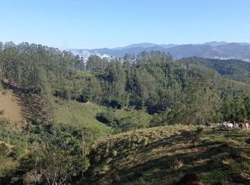 Rural · 202554m² · 1 Quarto · Sítio com Eucalipto em Pé, 1 Brota, São Francisco Xavier
