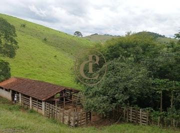Rural · 13ha · 4 Quartos · 10 Vagas · chacara 13 Hectares Bairro Freitas SJC SP