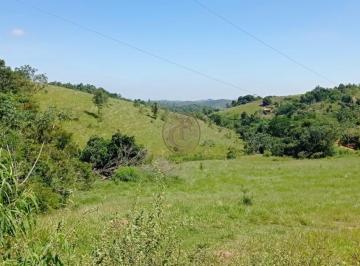 Rural · 63000m² · Chácara 63.000 m² Com Escritura Pé no Asfalto Santa Branca SP