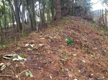 Terreno · 771m² · Terreno à venda - em Monte Verde