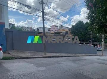 7956_i429n43p6U6K_7956681271f31c585.jpg · Imoveis - em Palmares
