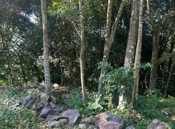 708070_i7aA6E52_708070681270a3e2692.jpg · Terreno à Venda em Nova Petrópolis