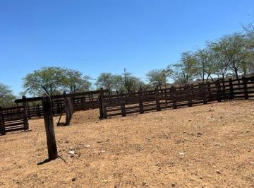 Foto · Fazenda Modelo 3000 hectares  localizada Lagoa Grande Pe  BR 122 e Br 428