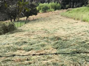 Foto 01 · Terreno à venda em Cunha-SP, bairro Mantiqueira, 700m² de área.