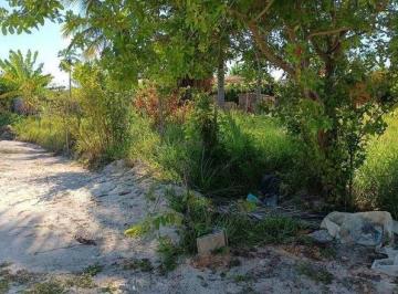 Lote à venda, TATUAMUNHA, Porto de Pedras, AL · Lote à venda, TATUAMUNHA, Porto de Pedras, AL