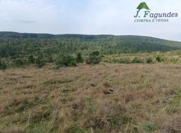 202505021437464887.jpg · Fazenda para Venda em Cachoeira do Sul, piquiri