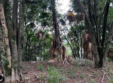 202505021840536463.jpg · Terreno em Condomínio para Venda em Barueri, Residencial Tamboré