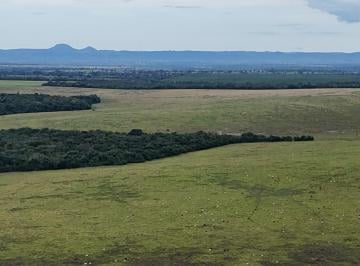 Rural , Santa Fé do Araguaia · Fazenda Dupla Aptidão em Santa Fé do Araguaia- TO