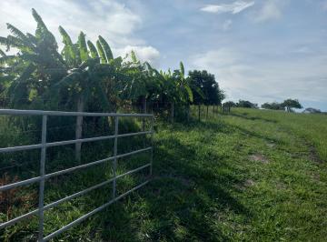 Rural de 3 quartos, Santo Antônio da Alegria · Sitio 10 alqueires 