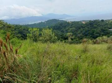 Foto 01 · TERRENO À VENDA PARA INVESTIMENTO NO BAIRRO DO ZABUMBA EM ILHABELA-SP