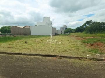 Foto 01 · Terreno, Jardim Elite, Mogi Mirim, SP