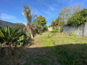 Foto 01 · Terreno, Vila Santa Luzia, Mogi Mirim, SP