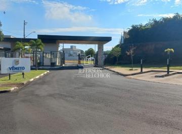 Foto 01 · Terreno, Mirante, Mogi Mirim, SP
