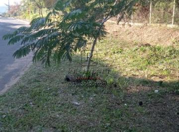 Foto 01 · Terreno à venda em Porto Alegre-RS, bairro Vila Nova, com 30.442,00 m² de área. Aproveite esta oport
