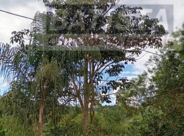 202503191432389366.jpeg · Terreno á venda em Tuiuti 1.800 m²