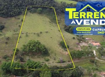 Terreno · 43000m² · Terreno à venda com 4.3 ha, Peão - Carmópolis de Minas - MG