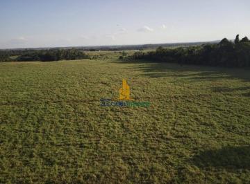 ae957e98ea321427de3e8a7a026af0381e0de221 · Fazenda à venda, 5577619 m² por R$ 33.000.000,00 - Fazenda Luana - Campo Novo de Rondônia/RO