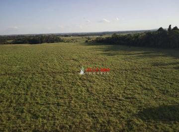 e7a9156a1efe4b993d264bffed141531b66b8255 · Fazenda à venda, 7720000 m² por R$ 40.000.000,00 - Centro - Alvorada D'Oeste/RO