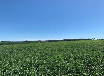 Rural · 242m² · Fazenda à Venda na Região de Arceburgo – Sul de Minas Gerais - H1
