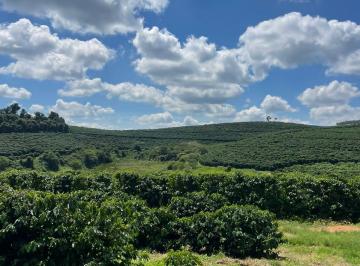 Rural · 404m² · Fazenda à Venda em Caconde – Interior de São Paulo - H1