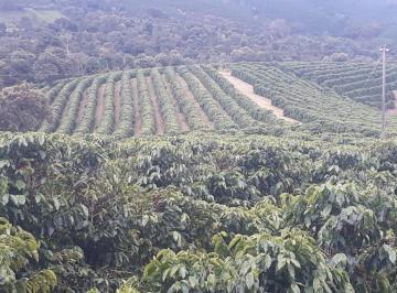 Rural · 254m² · Fazenda à Venda na Região de Ouro Fino/MG - H1