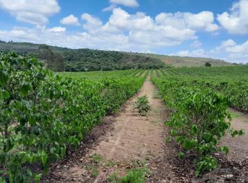 Rural · 26ha · Sítio com 11 Alqueires à Venda em São Sebastião do Paraíso/ MG! - M1
