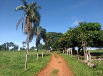 Rural · 17ha · SÍTIO 7 ALQUEIRES QUE PLANTA CAFÉ - M1