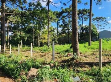 Terreno , Fazenda Rio Grande · Terreno à venda no bairro Gralha Azul em Fazenda Rio Grande/PR