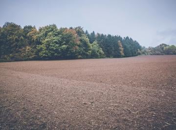 Rural , Bertioga · vendo lindo terreno