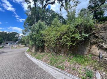 656493.jpg · Terreno - Bairro Carniel