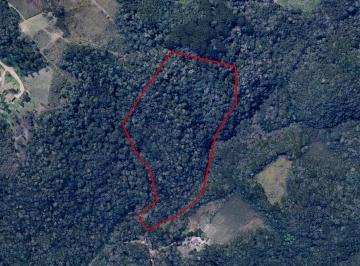 Terreno · 5000m² · Terreno em Campo Magro