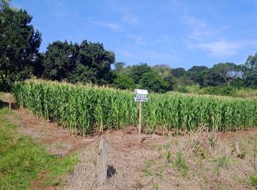 Rural · 24200m² · Área 1 Alqueire à venda no distrito de  Guaravera - R$ 400.000 - Londrina/PR