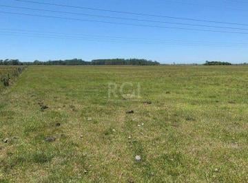 Terreno · 12500m² · Terreno Residencial em Figueirinha