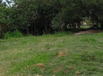 Terreno · 1000m² · Terreno 1.000m² no bairro Lageado em Porto Alegre