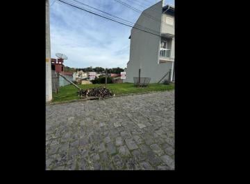 1d5435a3-8c2d-4a1f-96c4-9abff9d5fc12.png · Terreno em Ana Rech Terreno Ana Rech