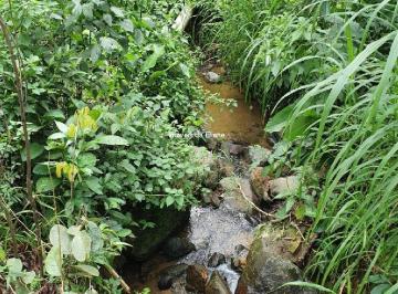 TERRENO COM RIACHO NO RIO DA LUZ EM JARAGUÁ DO SUL · LINDO TERRENO À VENDA NO RIO CERRO em Jaraguá do Sul (Chácara)