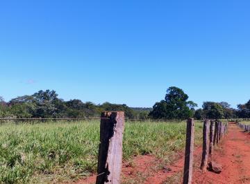 Rural , Minaçu · FAZENDA DUPLA APTIDÃO, MINAÇU DE GOIÁS 