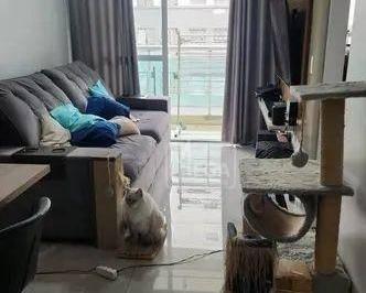 cdf58e8919c30a48544903c1eca0fabc2ac0edf4 · Apartamento com 2 dormitórios à venda, 57 m² por R$ 600.000,00 - Bethaville I - Barueri/SP