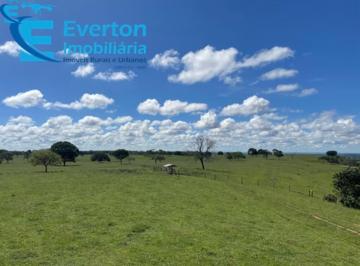 Foto 01 · Fazenda de Pecuária de Corte em São Gonçalo do Abaeté-MG: 417,48 hectares de oportunidade única!