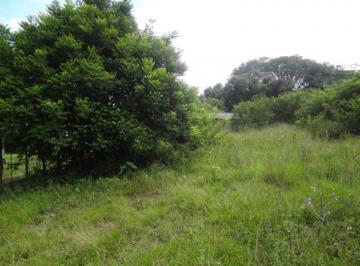 Terreno · 5080m² · Terreno para Venda - 0m², 0 dormitórios, Lami