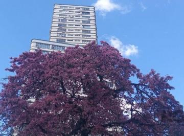 Comercial · 23m² · 1 Quarto · Vende sala em andar alto - Centro Histórico - Porto Alegre/RS
