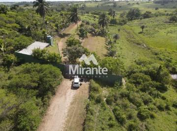 Sítio Para Vender no bairro Zona Rural em Conceição Do Jacuípe · Sítio Para Vender no bairro Zona Rural em Conceição Do Jacuípe