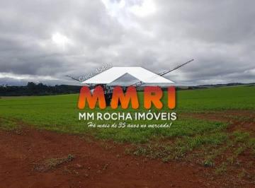 Foto 01 · Fazenda voltada para Agricultura - Interior de SP