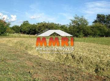 Foto 01 · Fazenda de Pecuaria em Cocalinho/MT