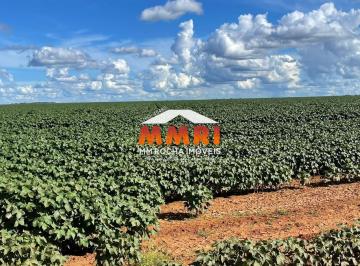 Foto 01 · FAZENDA EM NOVA UBIRATÃ, MT