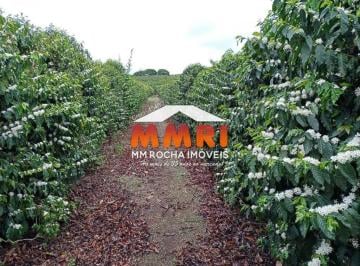 Foto 01 · Fazenda de Café à venda em Luminárias/MG